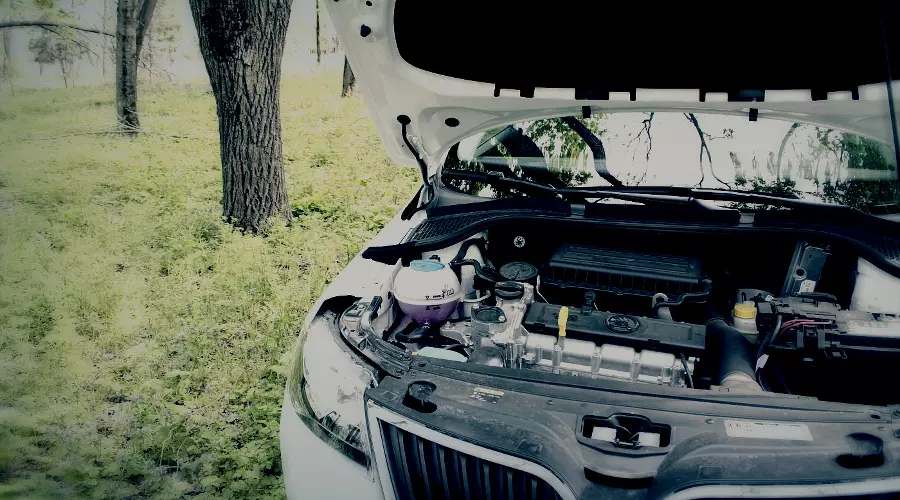 SKODA Rapid. Амбициозный игрок "бюджетного" сегмента &copy;&nbsp;Фото ЮГА.ру