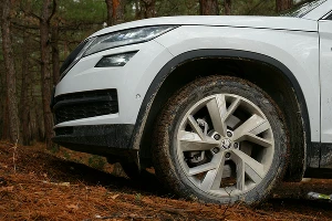 Kodiaq чувствовал себя здесь очень достойно &copy;&nbsp;Фото Евгения Мельченко
