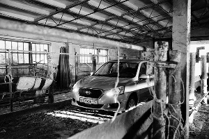 Компания Datsun провела тест-драйв моделей on-DO и mi-DO на Кубани &copy;&nbsp;Фото ЮГА.ру