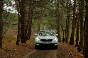 Kodiaq чувствовал себя здесь очень достойно &copy;&nbsp;Фото Евгения Мельченко