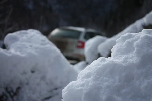 Skoda Octavia Combi. Бэксайд &copy;&nbsp;Фото ЮГА.ру