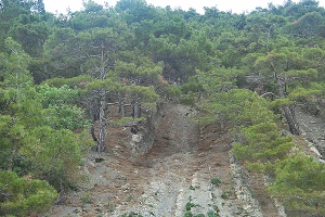 Peugeot 308 GT Line у скалы "Парус" &copy;&nbsp;Фото ЮГА.ру