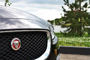 Jaguar XE. Компактный британский кот с резвым нравом &copy;&nbsp;Фото ЮГА.ру