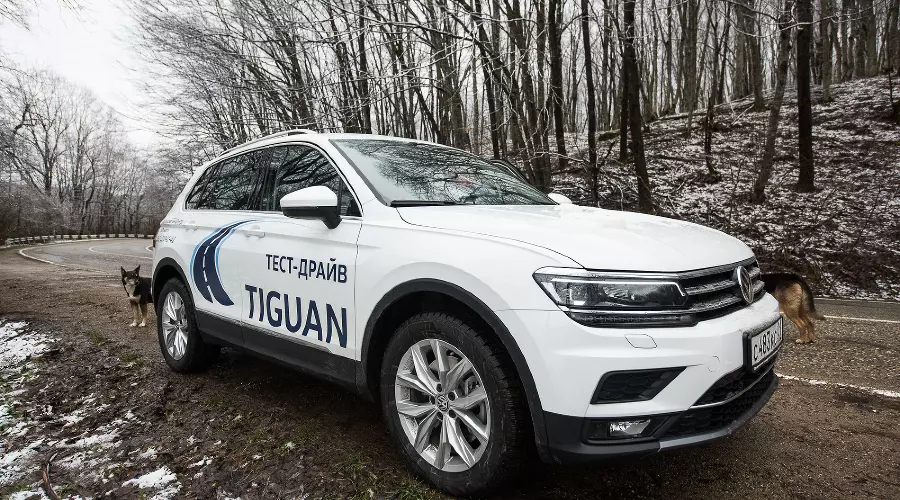 Volkswagen Tiguan &copy;&nbsp;Фото Елены Синеок, Юга.ру