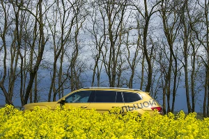 Новый VW Teramont &copy;&nbsp;Фото Евгения Мельченко, Юга.ру