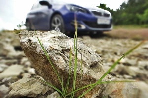 Peugeot 308 GT Line. Бэксайд &copy;&nbsp;Фото ЮГА.ру