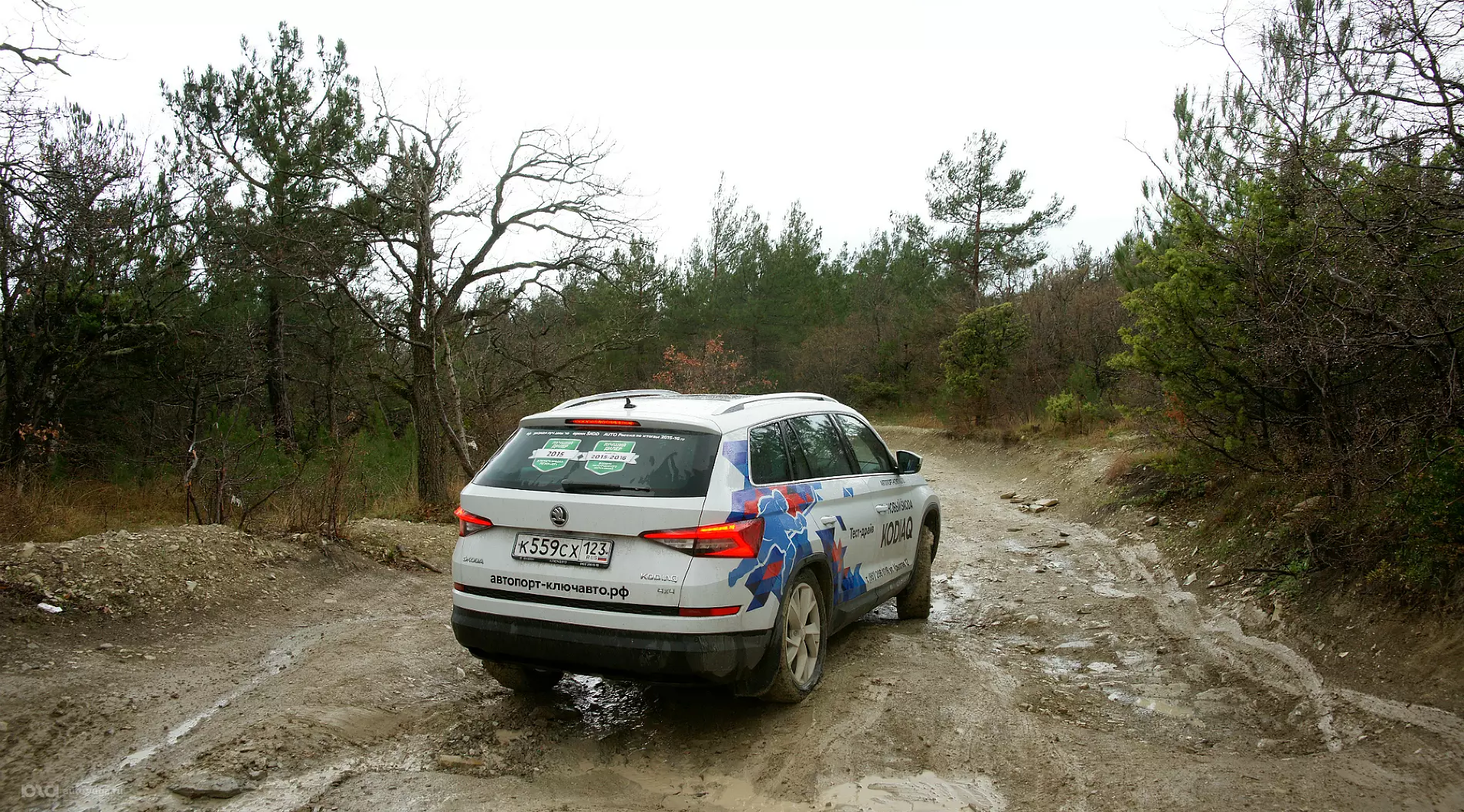 Kodiaq чувствовал себя здесь очень достойно
