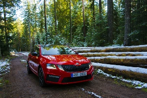 Skoda, Шварцвальд, братья Гримм и красные русские в Эльзасе &copy;&nbsp;Фото Евгения Мельченко, Юга.ру