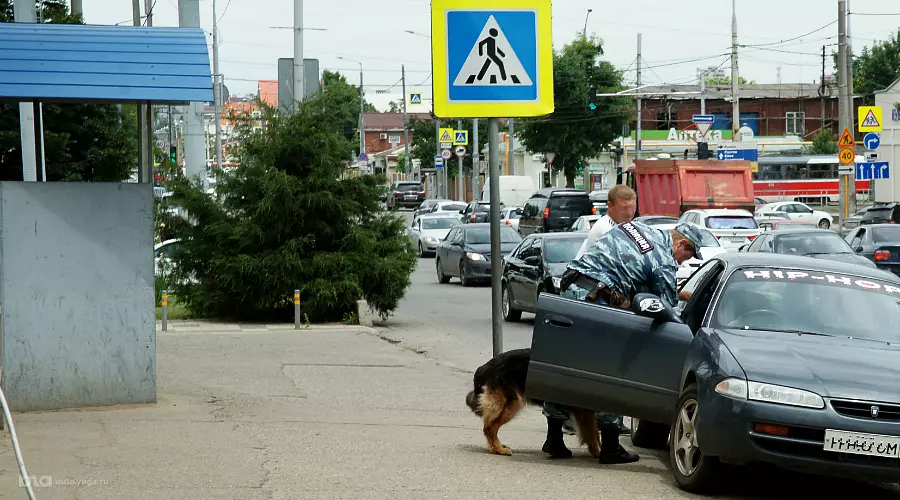 Обыск подозрительного автомобиля производит кинолог с подопечным псом