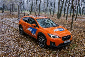 Зима за рулем &copy;&nbsp;Фото Евгения Мельченко, Юга.ру