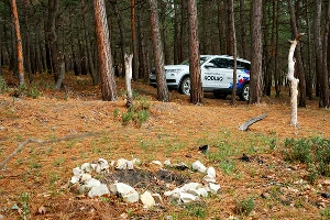 Kodiaq чувствовал себя здесь очень достойно &copy;&nbsp;Фото Евгения Мельченко