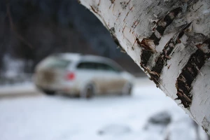 Skoda Octavia Combi. Бэксайд &copy;&nbsp;Фото ЮГА.ру