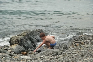 Peugeot 308 GT Line у скалы "Парус" &copy;&nbsp;Фото ЮГА.ру