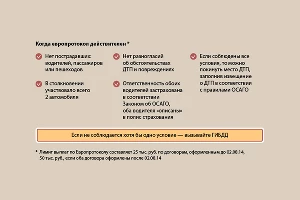 Порядок действий при оформлении европротокола &copy;&nbsp;Графика РСА