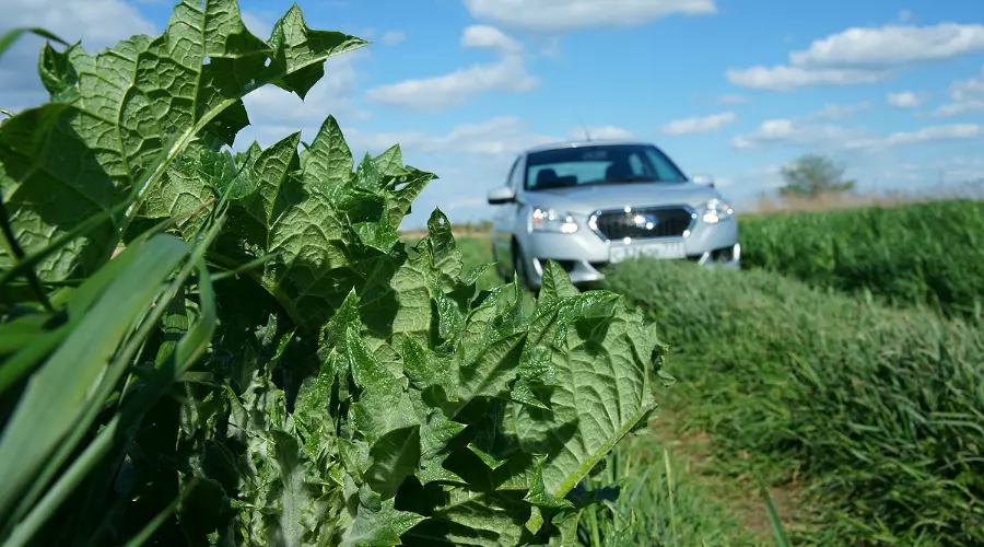 Тест-драйв Datsun on-DO на просторах Кубани &copy;&nbsp;Фото ЮГА.ру