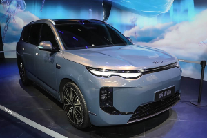 BYD Sea Lion 08 &copy;&nbsp;Фото: Auto People