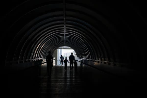 Кольцевые гонки на трассе "Сочи Автодром" &copy;&nbsp;Нина Зотина, ЮГА.ру