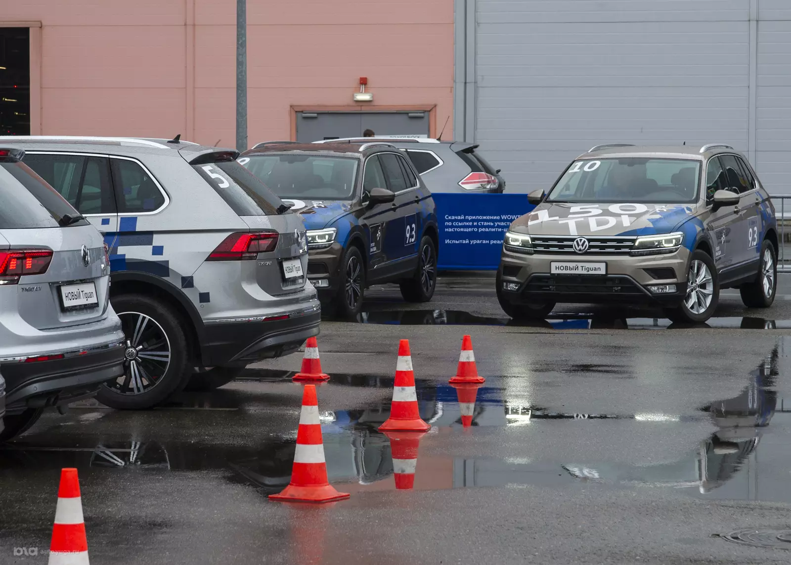 Шоу WOWTIGUAN в Краснодаре