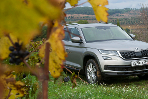 Кроссовер Skoda Kodiaq © Фото Евгения Мельченко, Юга.ру