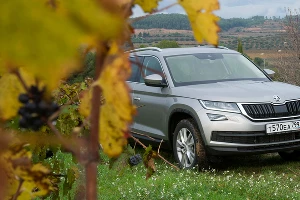 Кроссовер Skoda Kodiaq &copy;&nbsp;Фото Евгения Мельченко, Юга.ру