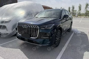 Chery Tiggo 9 &copy;&nbsp;Фото ЮГА.ру