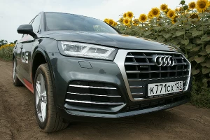 Новый Audi Q5 &copy;&nbsp;Фото Евгения Мельченко, Юга.ру