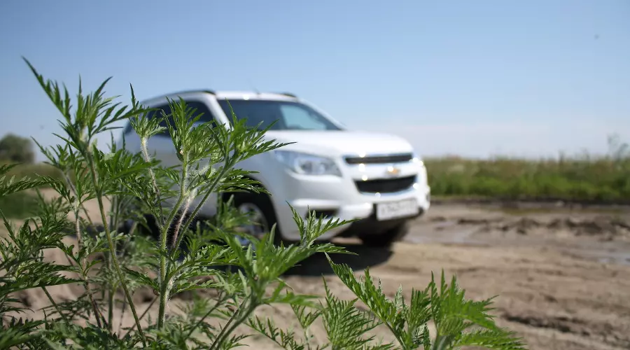 Chevrolet Trailblazer &copy;&nbsp;Фото ЮГА.ру