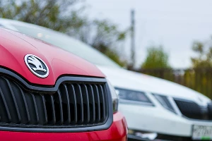 Skoda попала #точновяблочко &copy;&nbsp;Фото Евгения Мельченко, Юга.ру