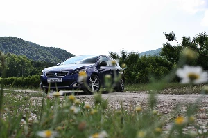 Peugeot 308 GT Line у скалы "Парус" &copy;&nbsp;Фото ЮГА.ру