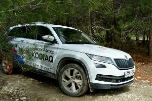 Kodiaq чувствовал себя здесь очень достойно &copy;&nbsp;Фото Евгения Мельченко