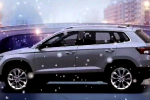 Skoda Karoq © Фото Skoda