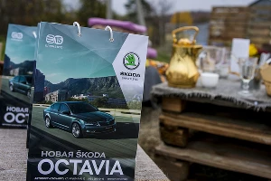 Skoda попала #точновяблочко &copy;&nbsp;Фото Евгения Мельченко, Юга.ру