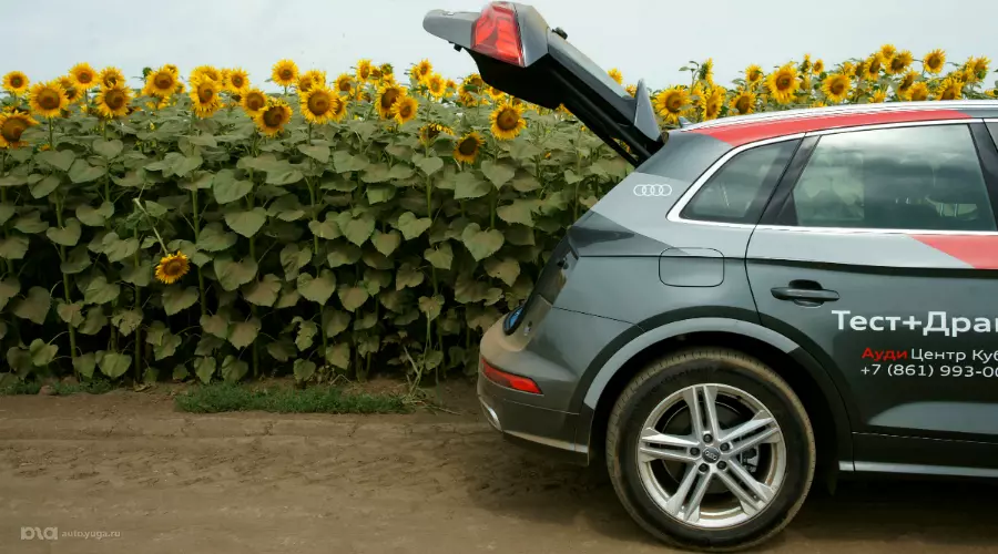 Новый Audi Q5