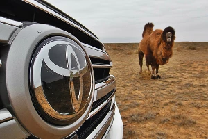 Toyota &copy;&nbsp;Фото Евгения Мельченко, Юга.ру