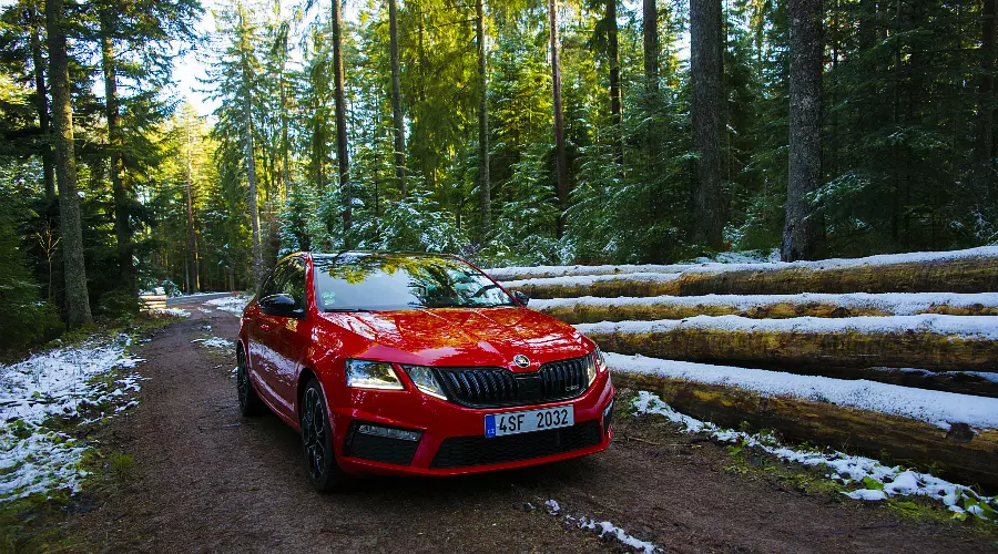 Skoda, Шварцвальд, братья Гримм и красные русские в Эльзасе &copy;&nbsp;Фото Евгения Мельченко, Юга.ру