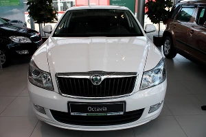 Skoda Oktavia 01 &copy;&nbsp;Фото ЮГА.ру