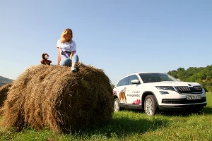 «Что видел Kodiaq» в горах Северного Кавказа &copy;&nbsp;Фото Заира Гамидова, Юга.ру