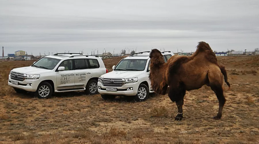 Тест-драйв нового Toyota Land Cruiser 200. В чем соль, брат &copy;&nbsp;Фото ЮГА.ру