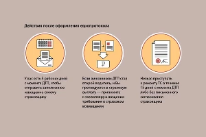 Порядок действий при оформлении европротокола &copy;&nbsp;Графика РСА
