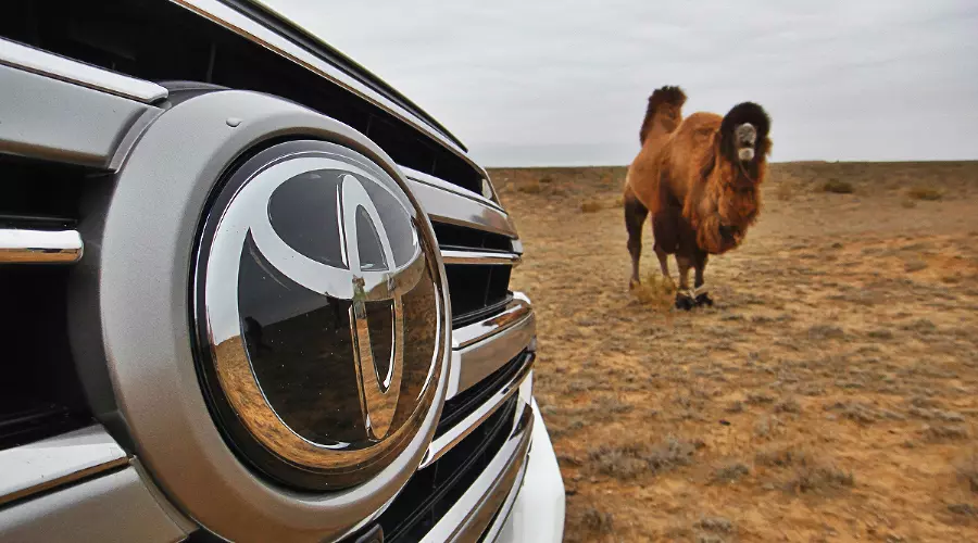 Toyota &copy;&nbsp;Фото Евгения Мельченко, Юга.ру