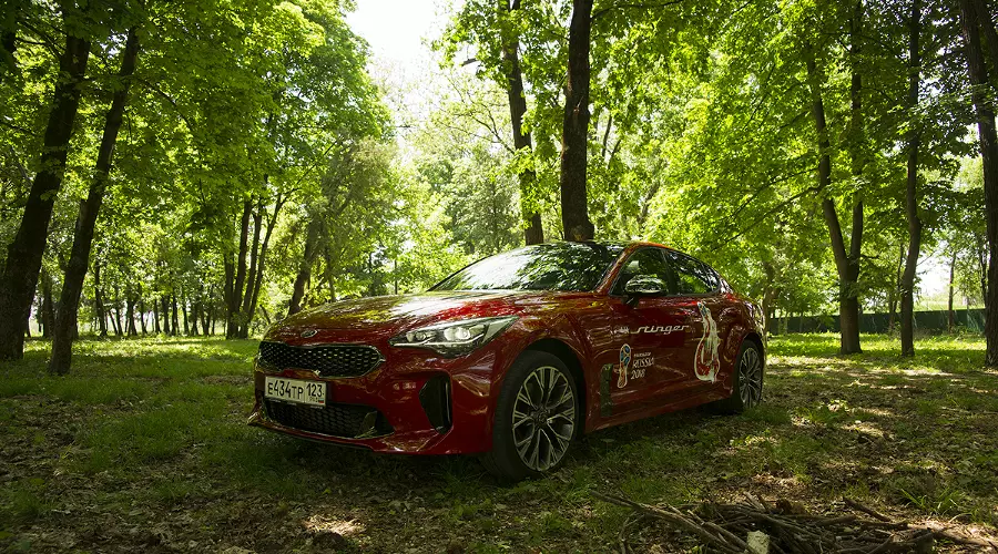 Kia Stinger © Фото Евгения Мельченко, Юга.ру Kia Stinger © Фото Евгения Мельченко, Юга.ру