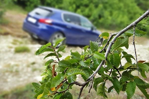 Peugeot 308 GT Line. Бэксайд &copy;&nbsp;Фото ЮГА.ру