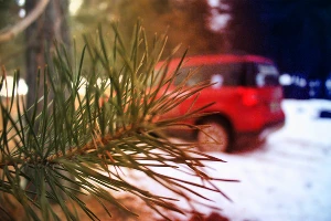 Skoda Yeti. Бэксайд &copy;&nbsp;Фото ЮГА.ру