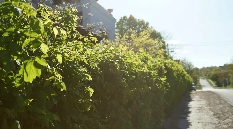 Тест-драйв Datsun on-DO на просторах Кубани &copy;&nbsp;Фото ЮГА.ру