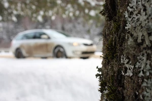 Skoda Octavia Combi. Бэксайд &copy;&nbsp;Фото ЮГА.ру