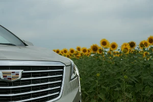 Cadillac XT5. Не Escalade, но ростом вышел &copy;&nbsp;Фото Евгения Мельченко, Юга.ру