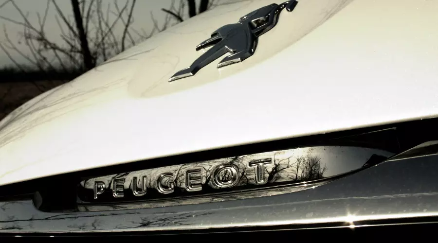 Автомобили Peugeot &copy;&nbsp;Фото Евгения Мельченко, Юга.ру