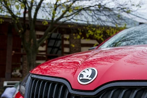 Skoda попала #точновяблочко &copy;&nbsp;Фото Евгения Мельченко, Юга.ру