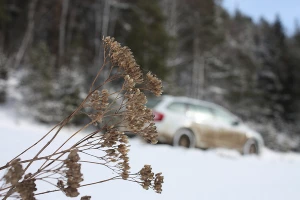 Skoda Octavia Combi. Бэксайд &copy;&nbsp;Фото ЮГА.ру