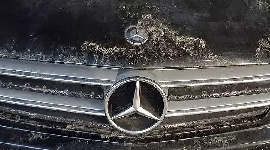 Mercedes-Benz &copy;&nbsp;Фото Евгения Мельченко